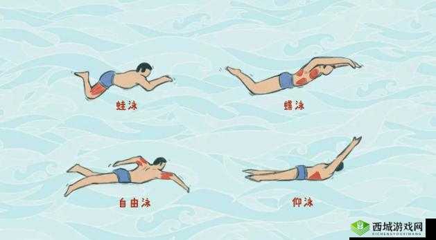 锦鲤吸水的正确姿势:提升技巧与要点