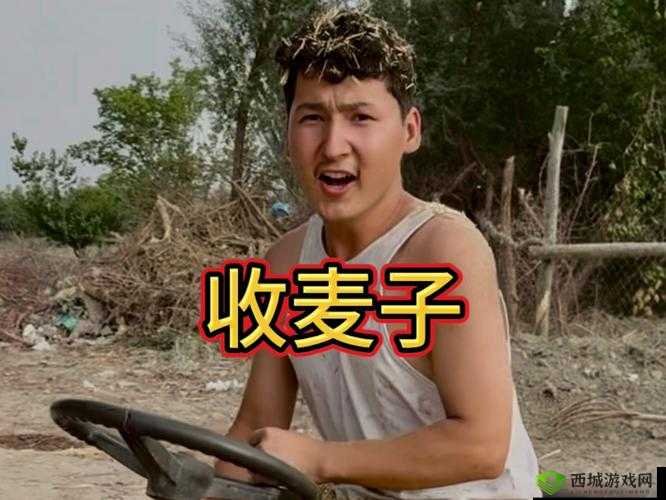 我的朋友她的麦子 DJ:一场音乐之旅