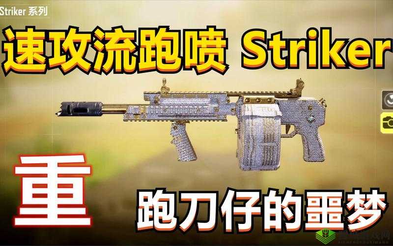 使命召唤手游Striker武器性能解析:属性览与实战应用效果评估