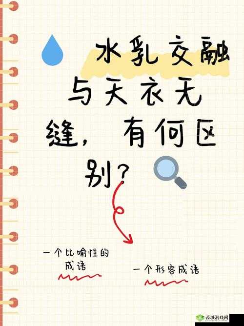 水乳交融VS天衣无缝的区别:深度剖析与对比