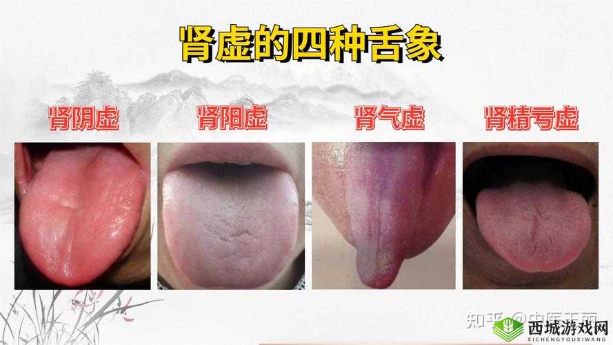 三分钟就完事了是不是肾虚:深度解析