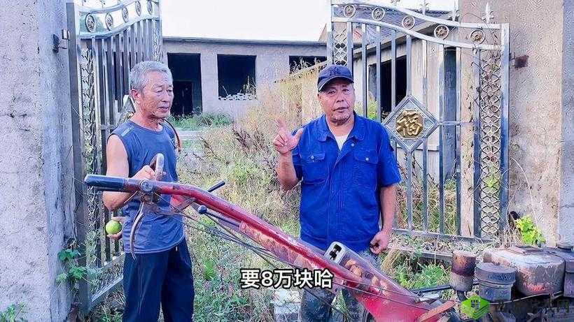 大象回家 2024 秘密人口:探寻背后真相