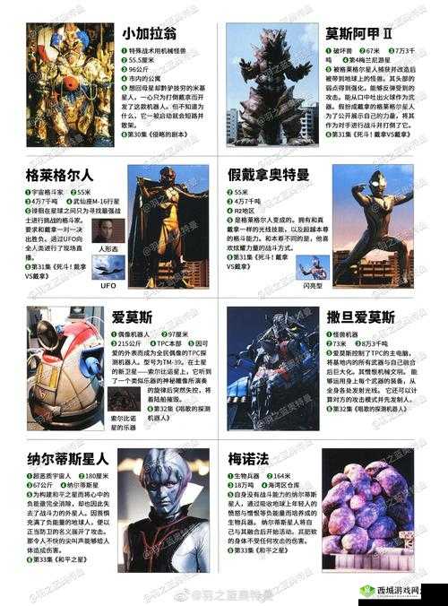 《神奇口袋:猎斑鳗属性图鉴》