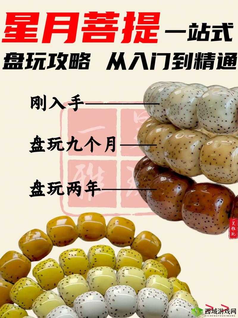 主公莫慌非 R 玩家进阶攻略:轻松上手,快速成长