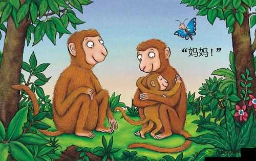 男女生猴子该不该盖被子:引发的有趣思考与探讨