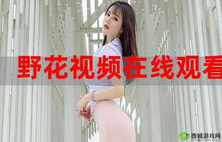 野花视频韩国免费观看:精彩内容等您来畅享