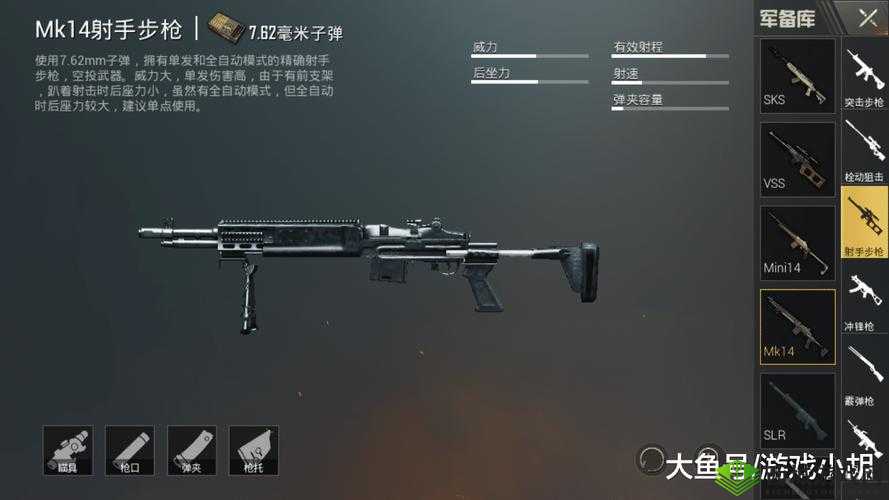 和平精英枪械Mk14介绍,策略、管理与最大化价值