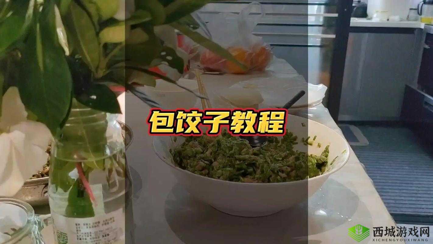 授课方式 BY 肉馅小水饺视频:教你轻松学会包饺子