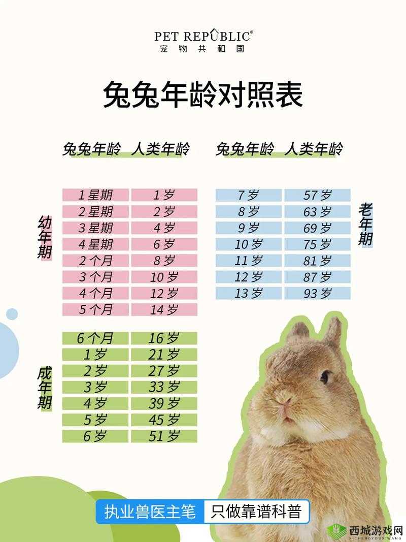 编个笑话找兔子攻略:如何通过幽默找到心中的兔子