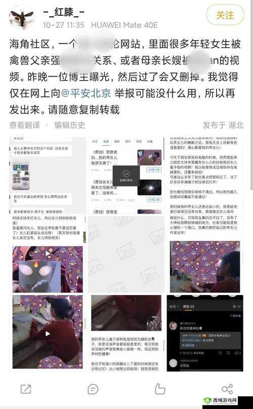 海角社区披风封神妈妈稿件：深度解析背后的故事与影响