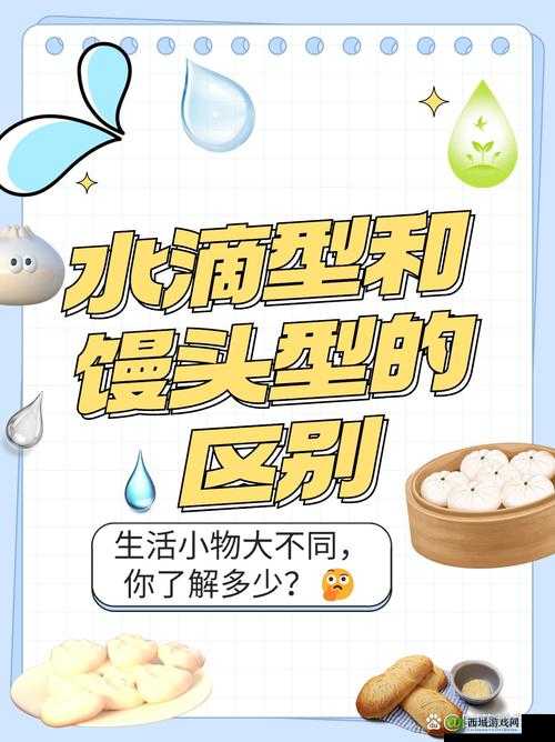 水滴型和馒头型的区别:形状特点及适用场景解析