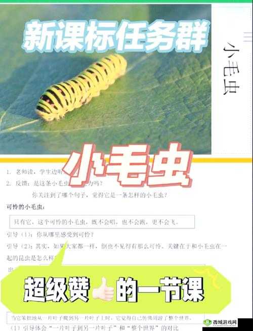 舌头探进蜜源毛毛虫说说视频:揭秘自然界的奇妙互动与生存智慧