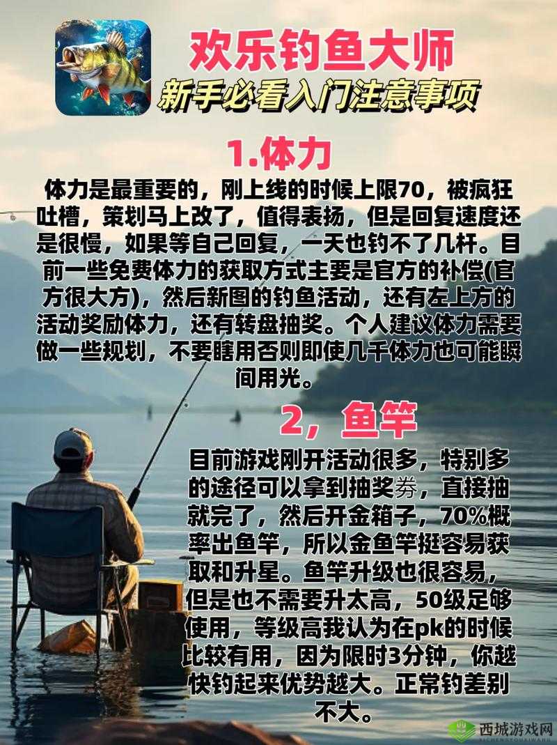 荒岛求生进化,钓鱼技巧与鱼竿制作的重要性及实践指南