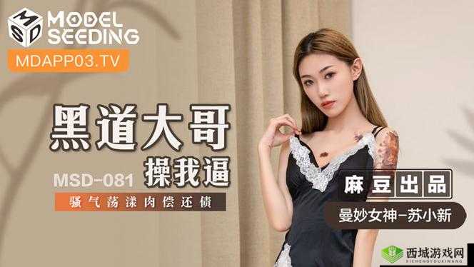 麻花豆的甜蜜诱惑,国产精品 123 产品的独特魅力